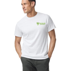 THE BLUFF AMPHITHEATER "ONE MORE SONG" T-SHIRT