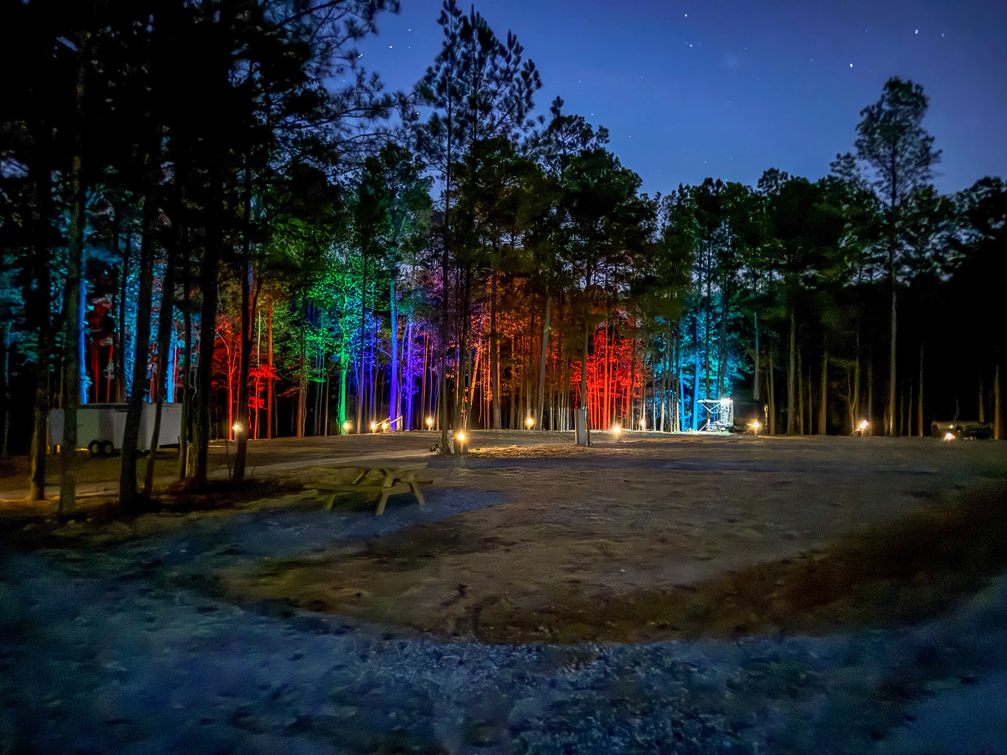 Campground Lights At Night